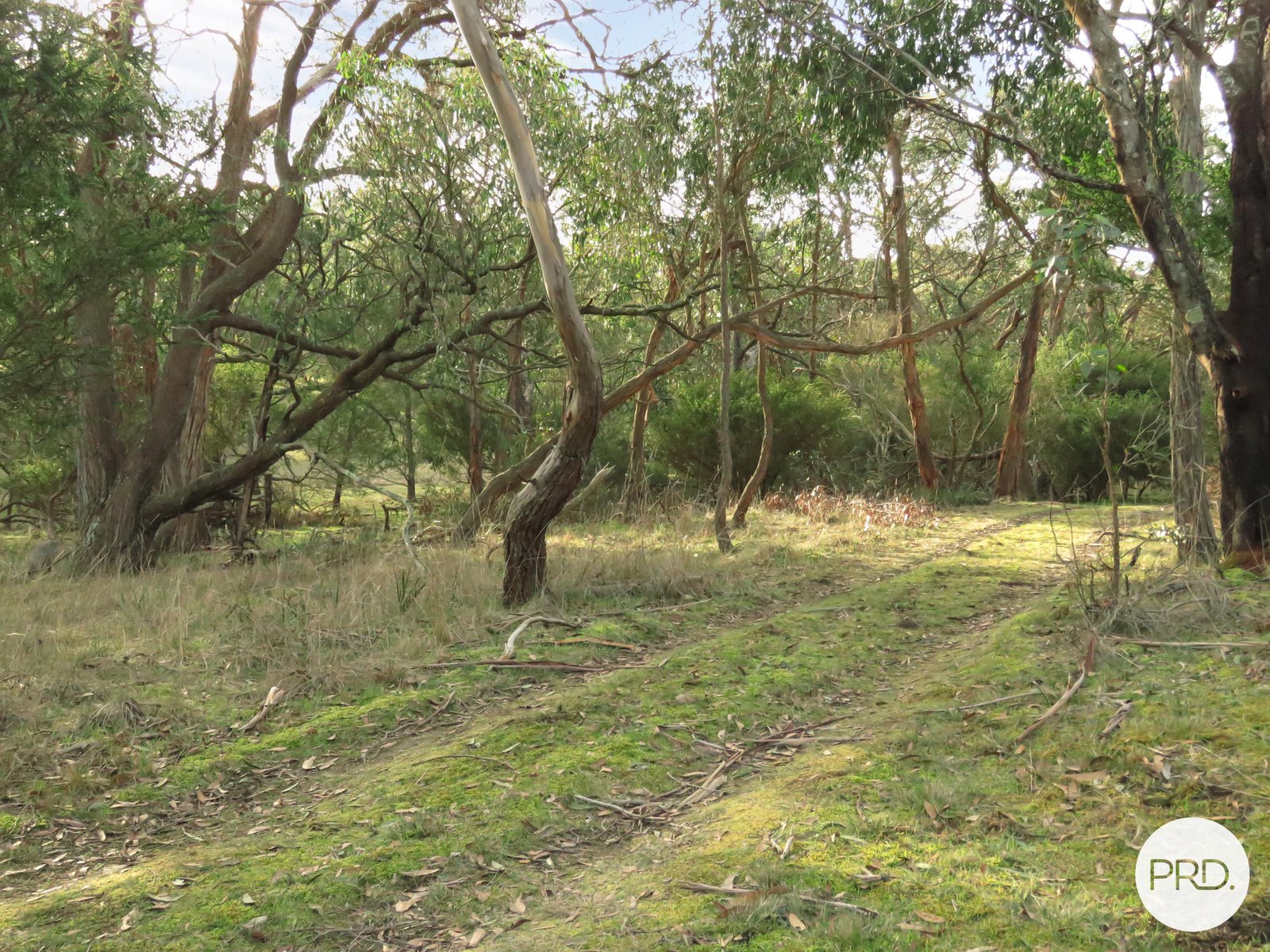 Lot 17 McIntoshs Lane CHEPSTOWE 6