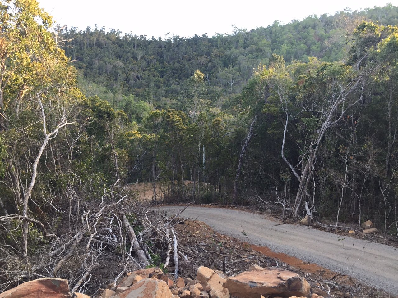 Lot 17 Mountain View Road WOODWARK 4
