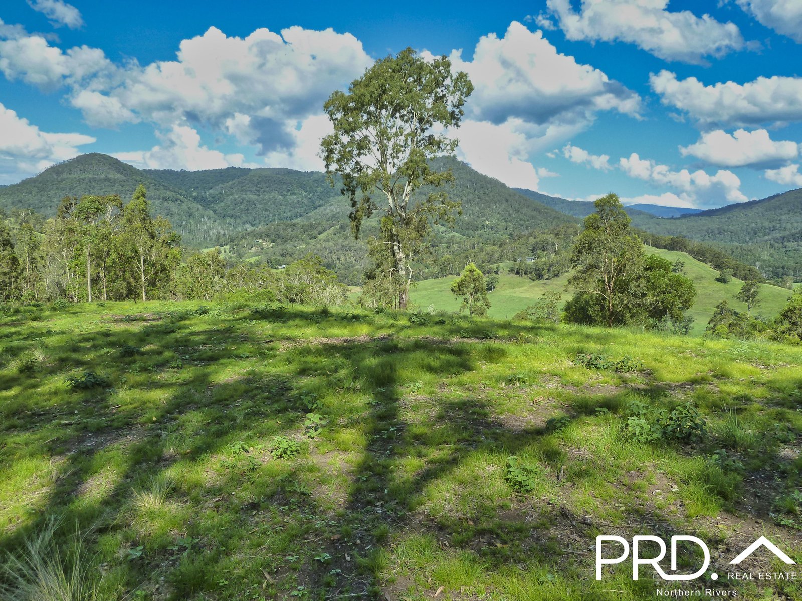 Lot 173 Gradys Creek Road, Loadstone via  KYOGLE 1