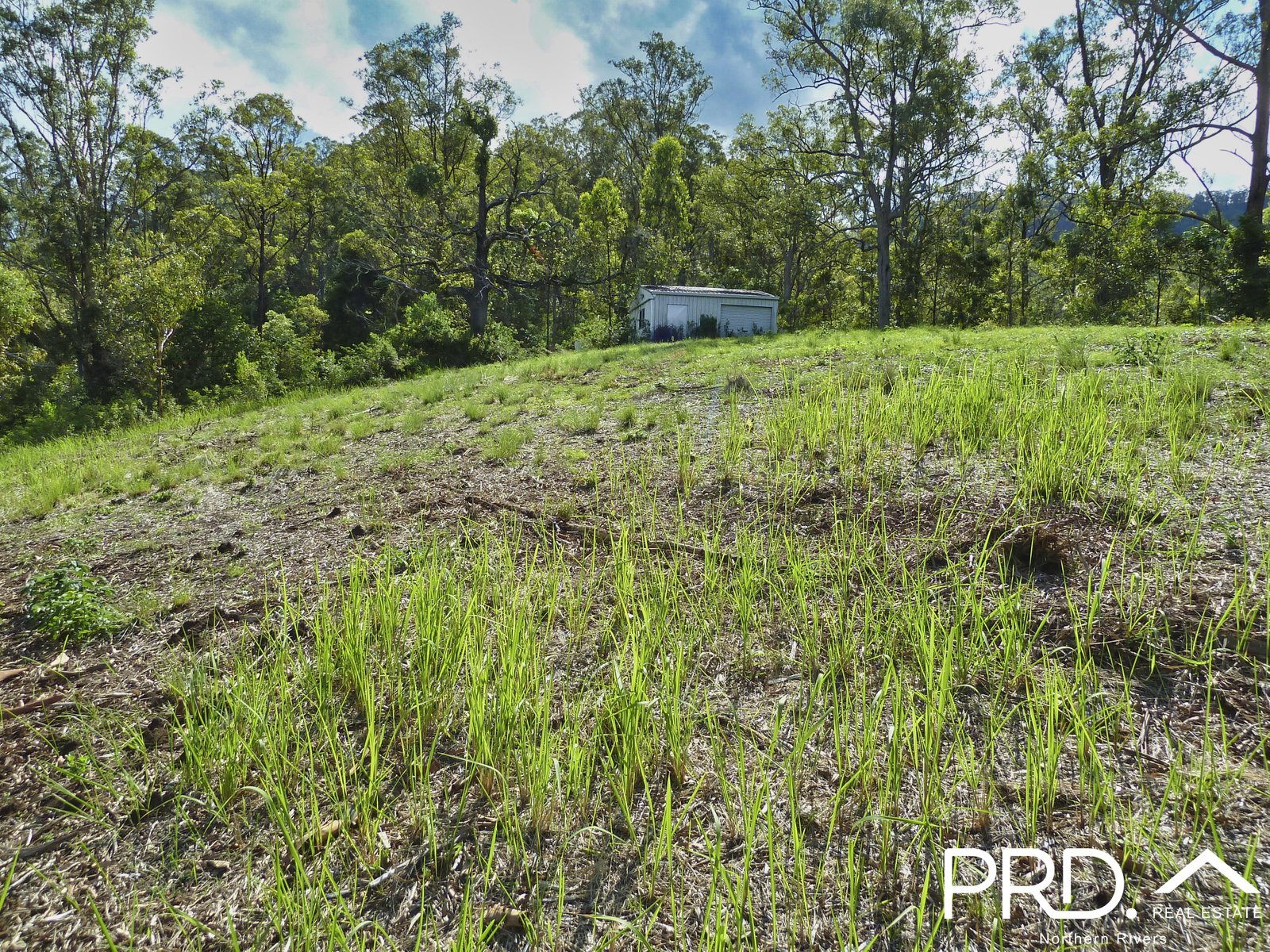 Lot 173 Gradys Creek Road, Loadstone via  KYOGLE 8