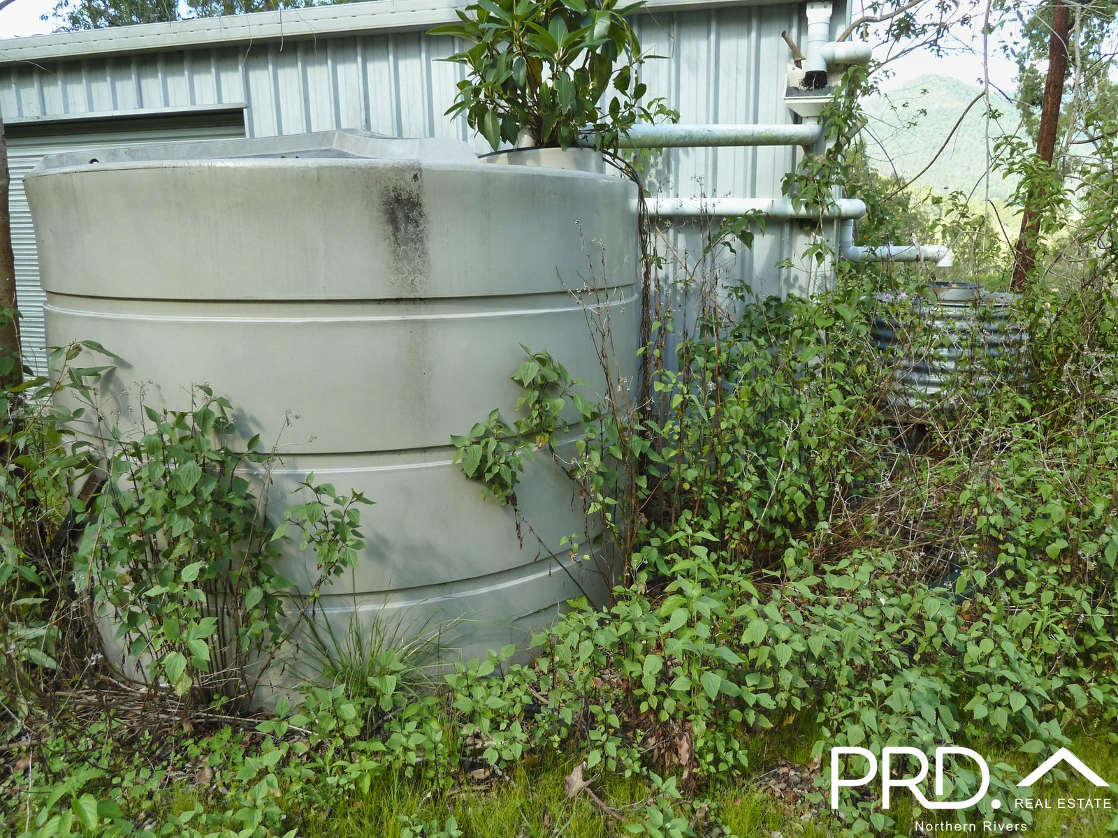 Lot 173 Gradys Creek Road, Loadstone via  KYOGLE 9