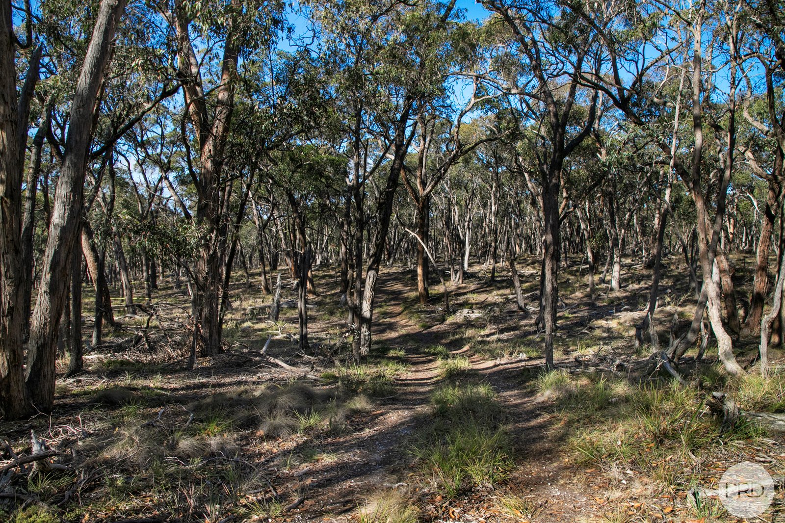 203 Rifle Butts Road BEAUFORT 4