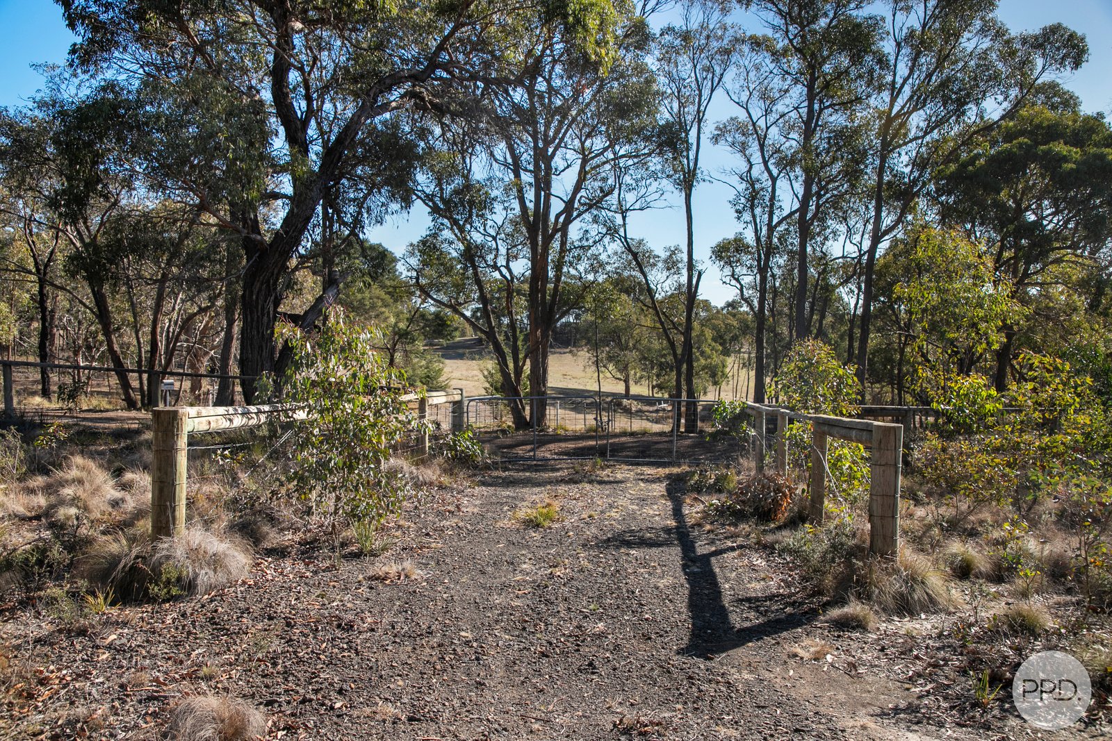 203 Rifle Butts Road BEAUFORT 5