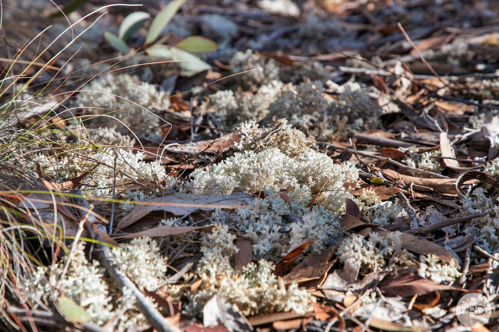 203 Rifle Butts Road BEAUFORT 6