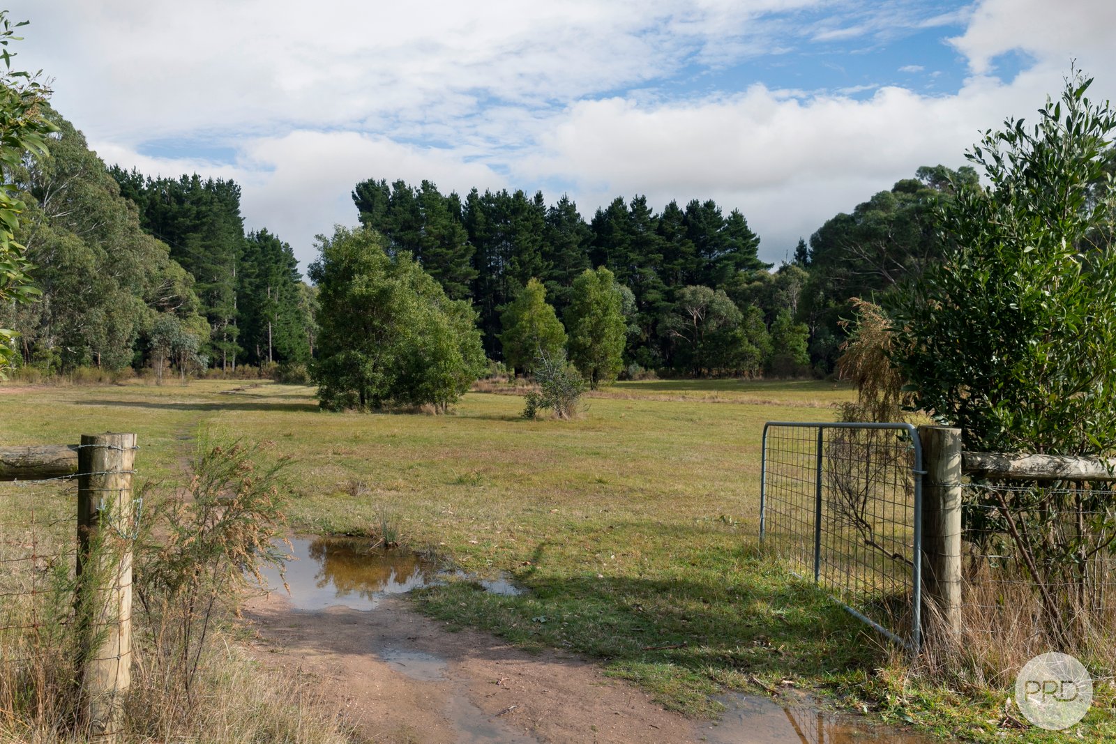  Grenville Drive GARIBALDI 2