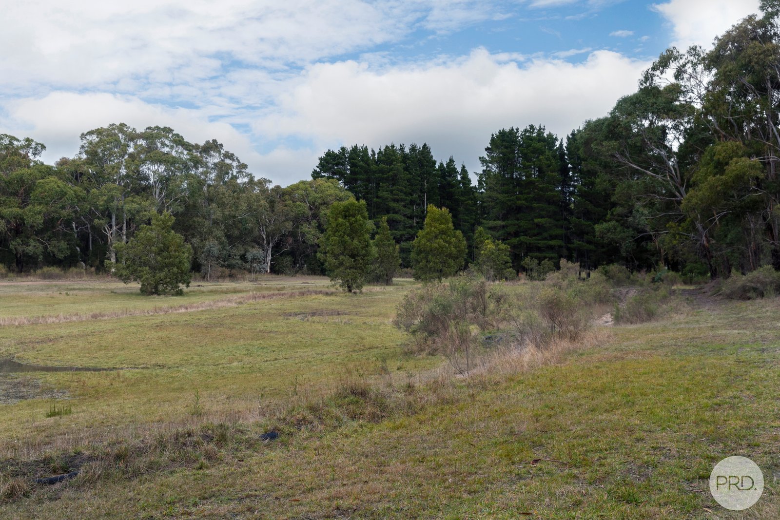  Grenville Drive GARIBALDI 4