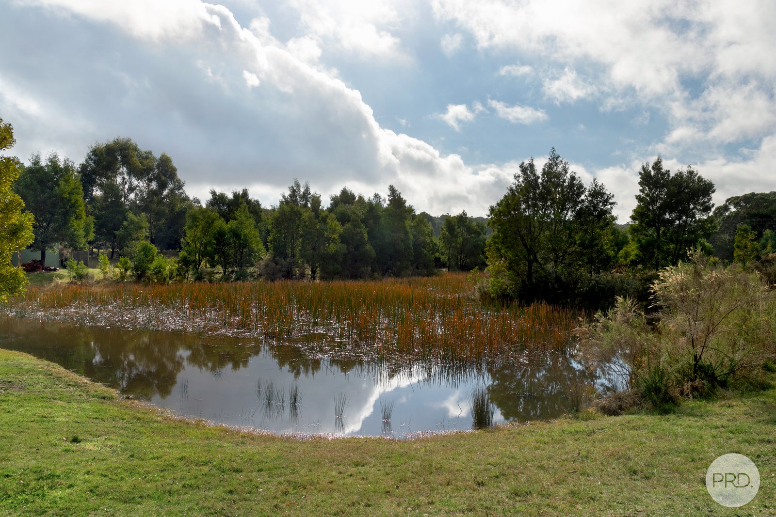  Grenville Drive GARIBALDI 5