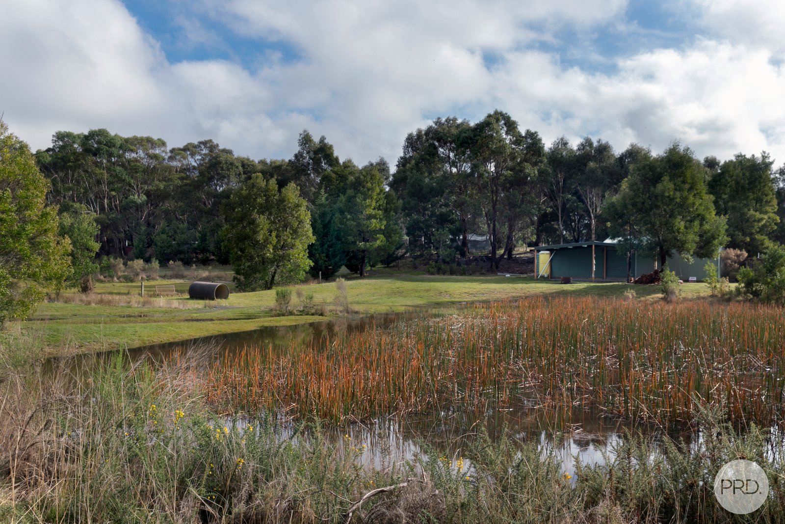  Grenville Drive GARIBALDI 6