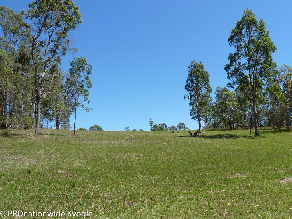 Lot 181 Old Dyraaba Road, Old Dyraaba Via  KYOGLE 25