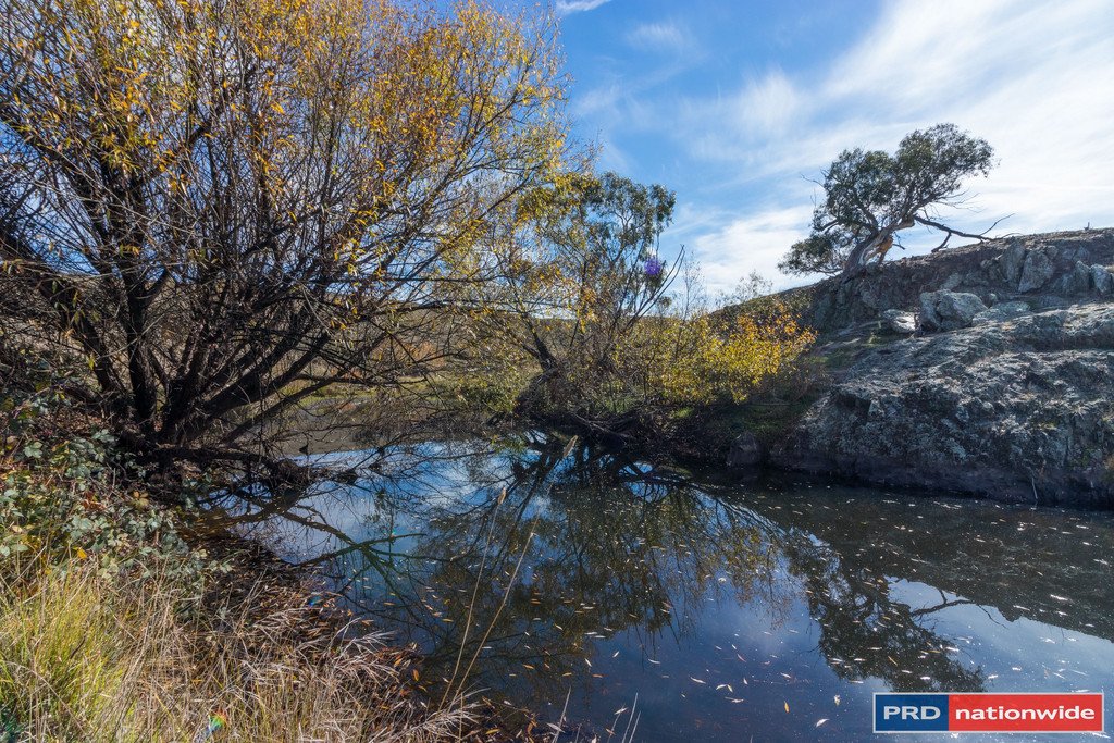 Lot 186 Creekborough Road BYWONG 10