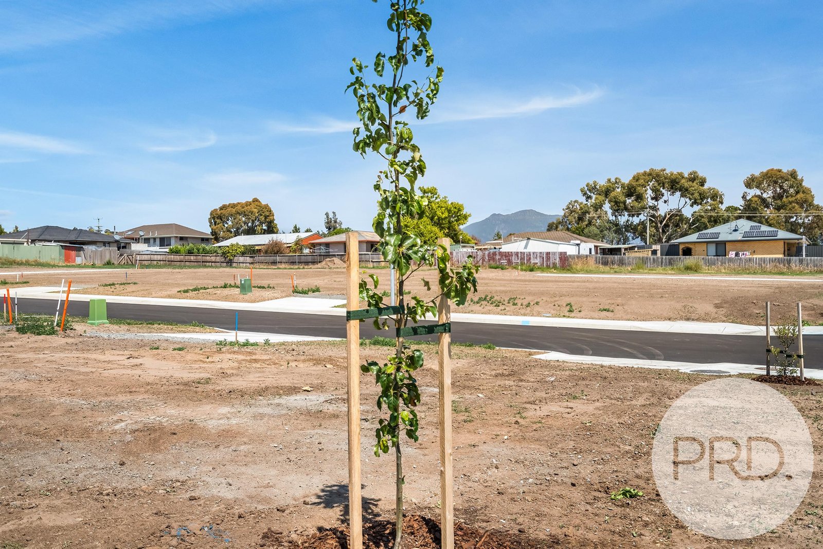 6 Pamela Place BRIGHTON 9