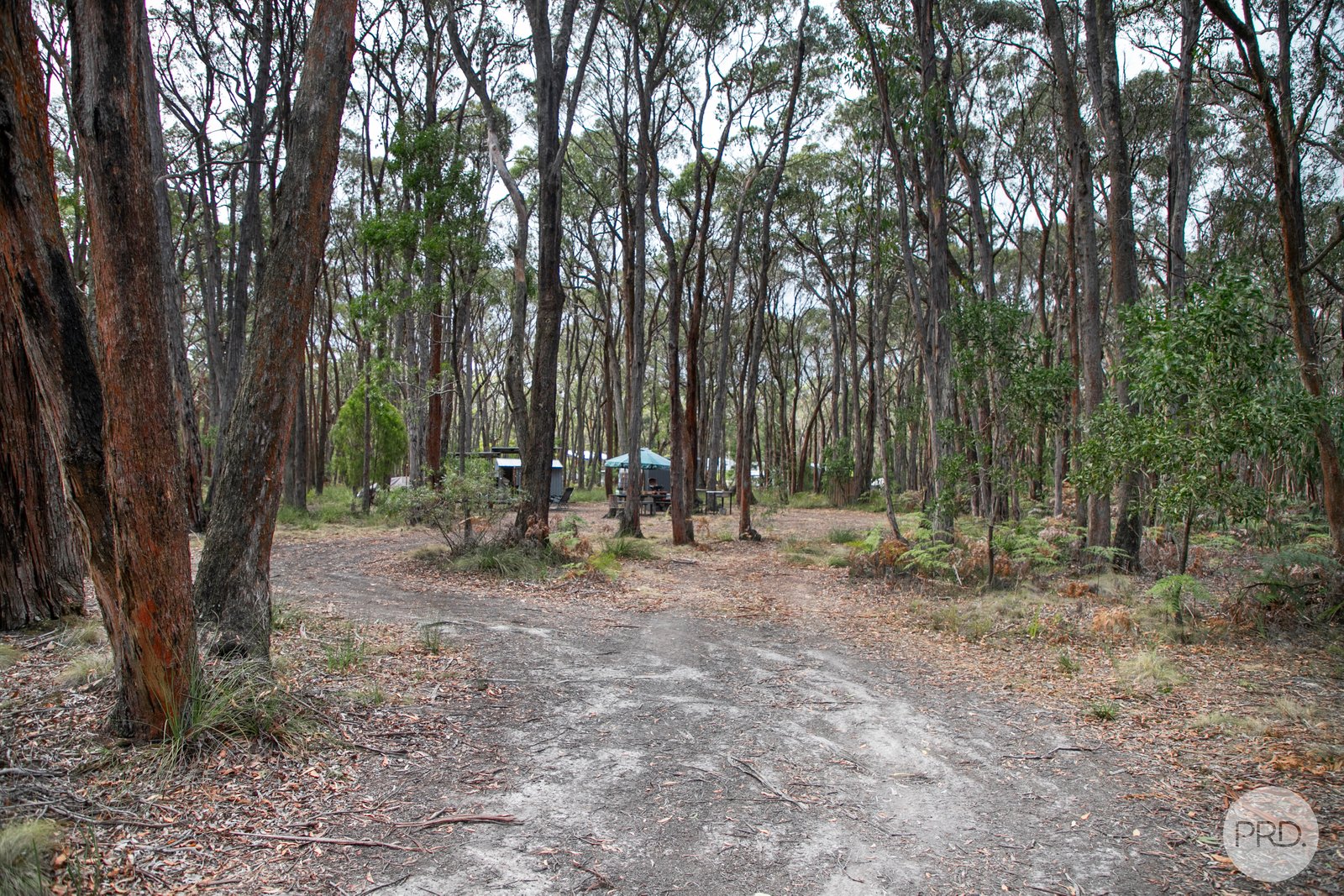 Lot 19 Boden Court ROSS CREEK 9