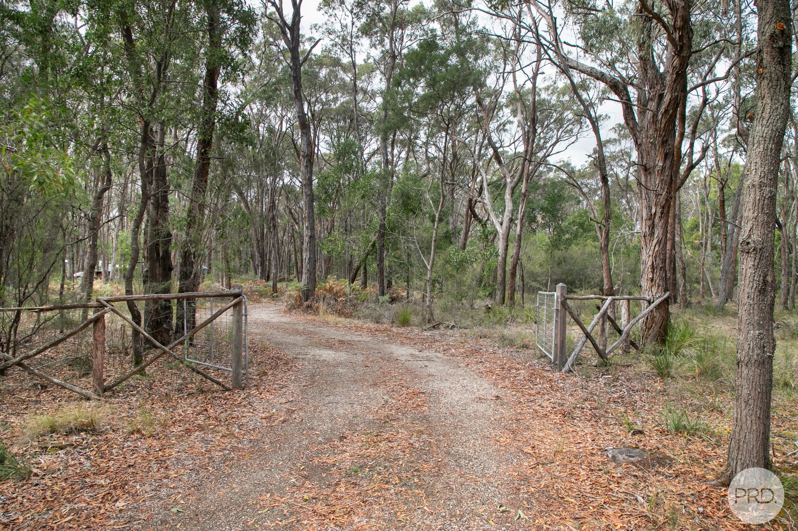 Lot 19 Boden Court ROSS CREEK 10