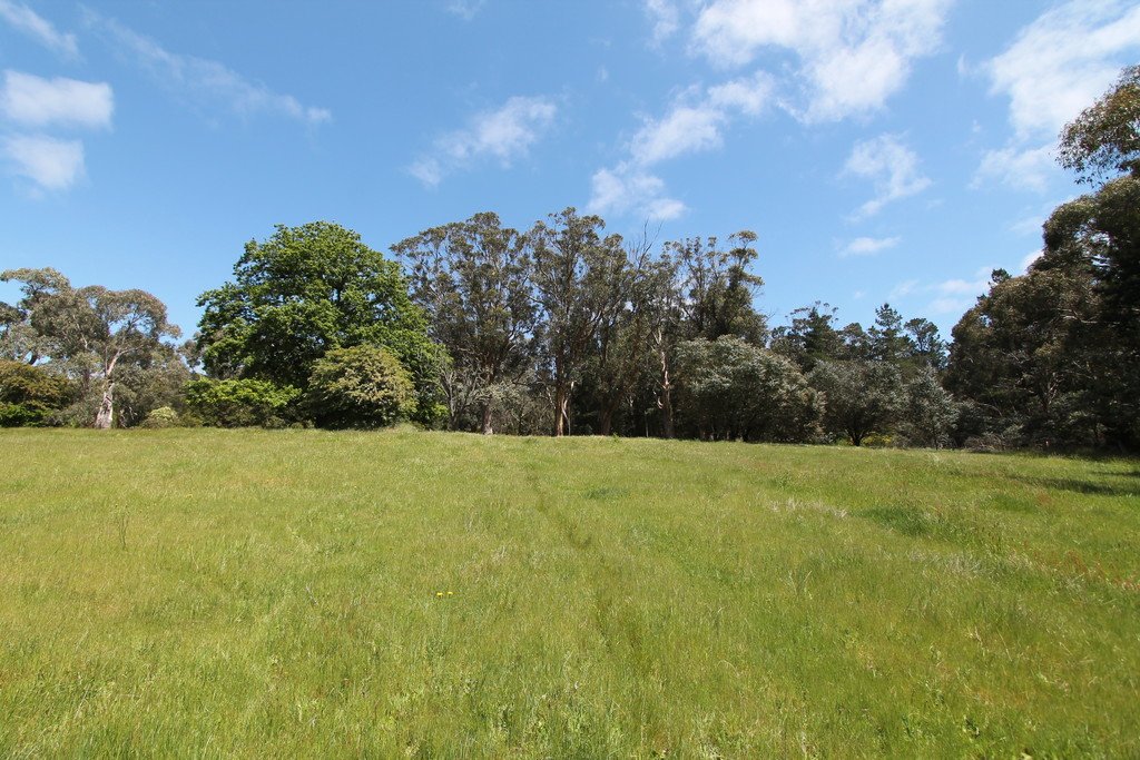 Lot 1A Fraser Street LINTON 1