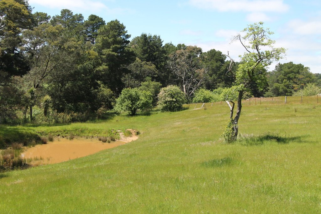 Lot 1A Fraser Street LINTON 3