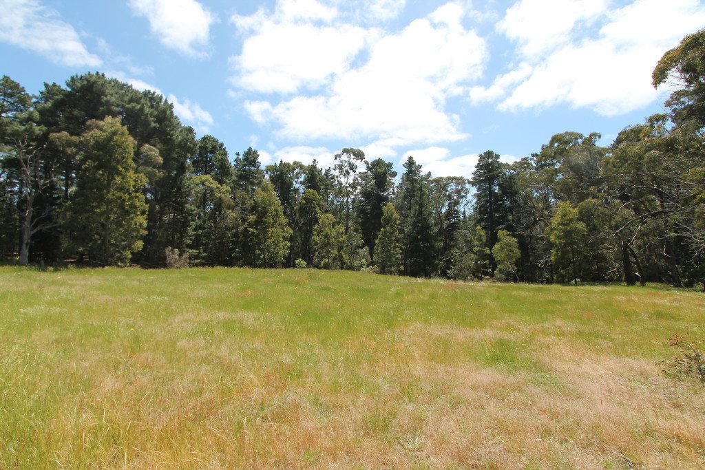 Lot 1A Fraser Street LINTON 4