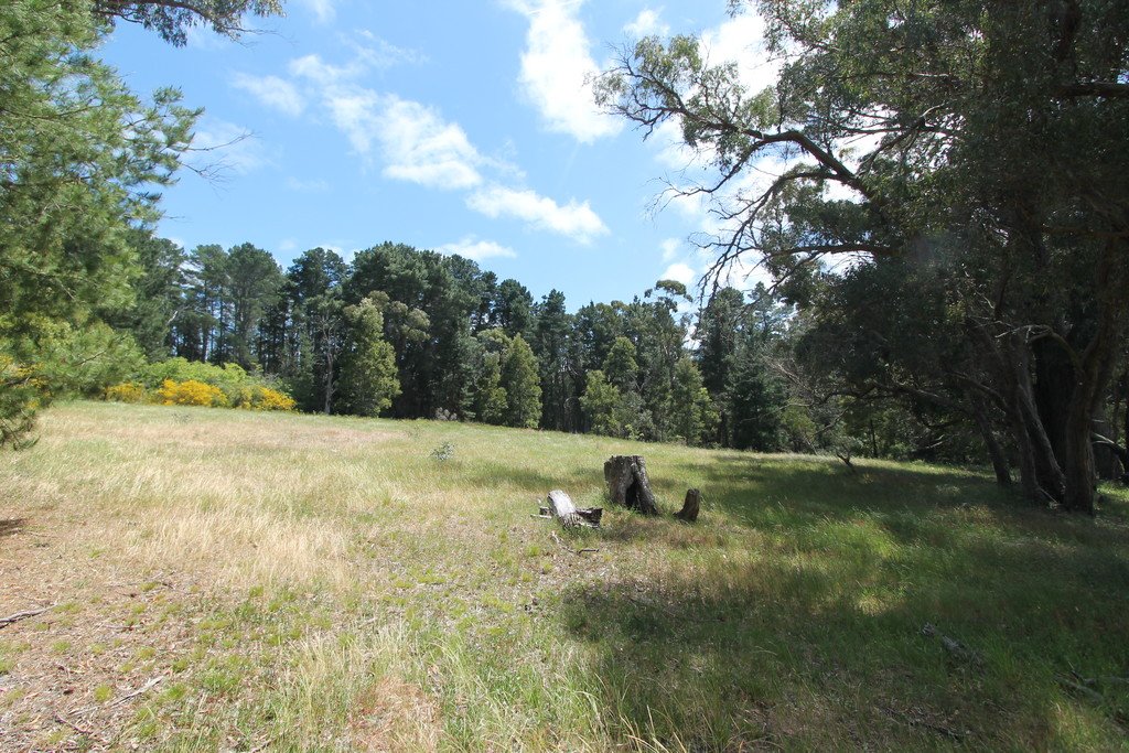Lot 1A Fraser Street LINTON 6