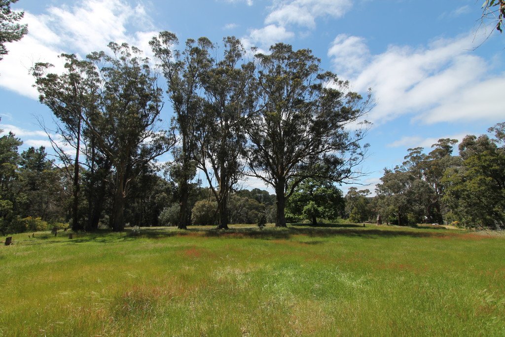 Lot 1A Fraser Street LINTON 7