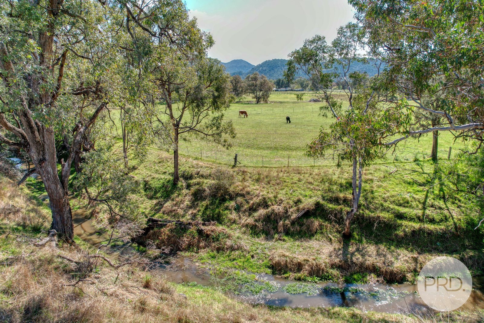 102 New England Gully Road MOONBI 5
