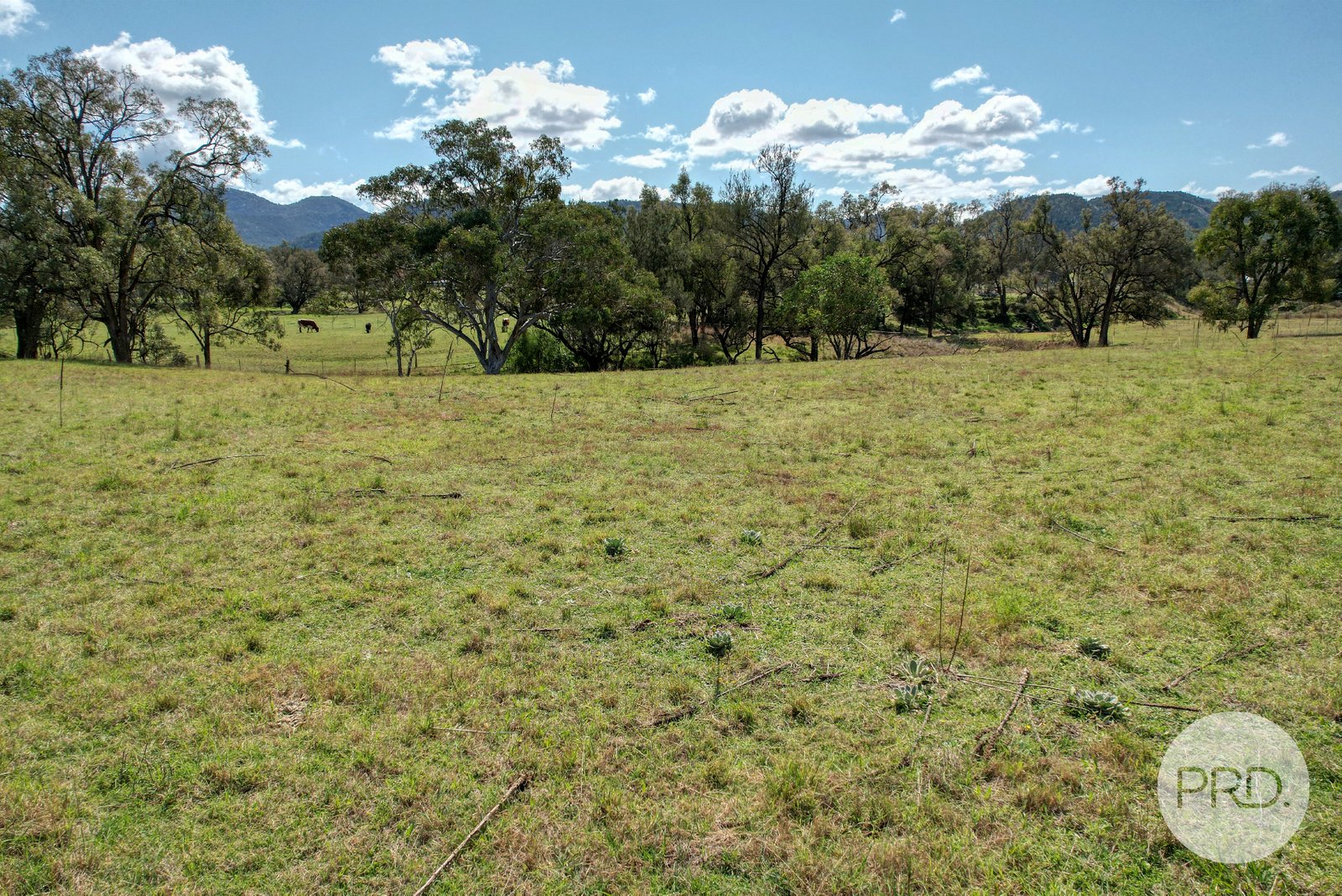 102 New England Gully Road MOONBI 7