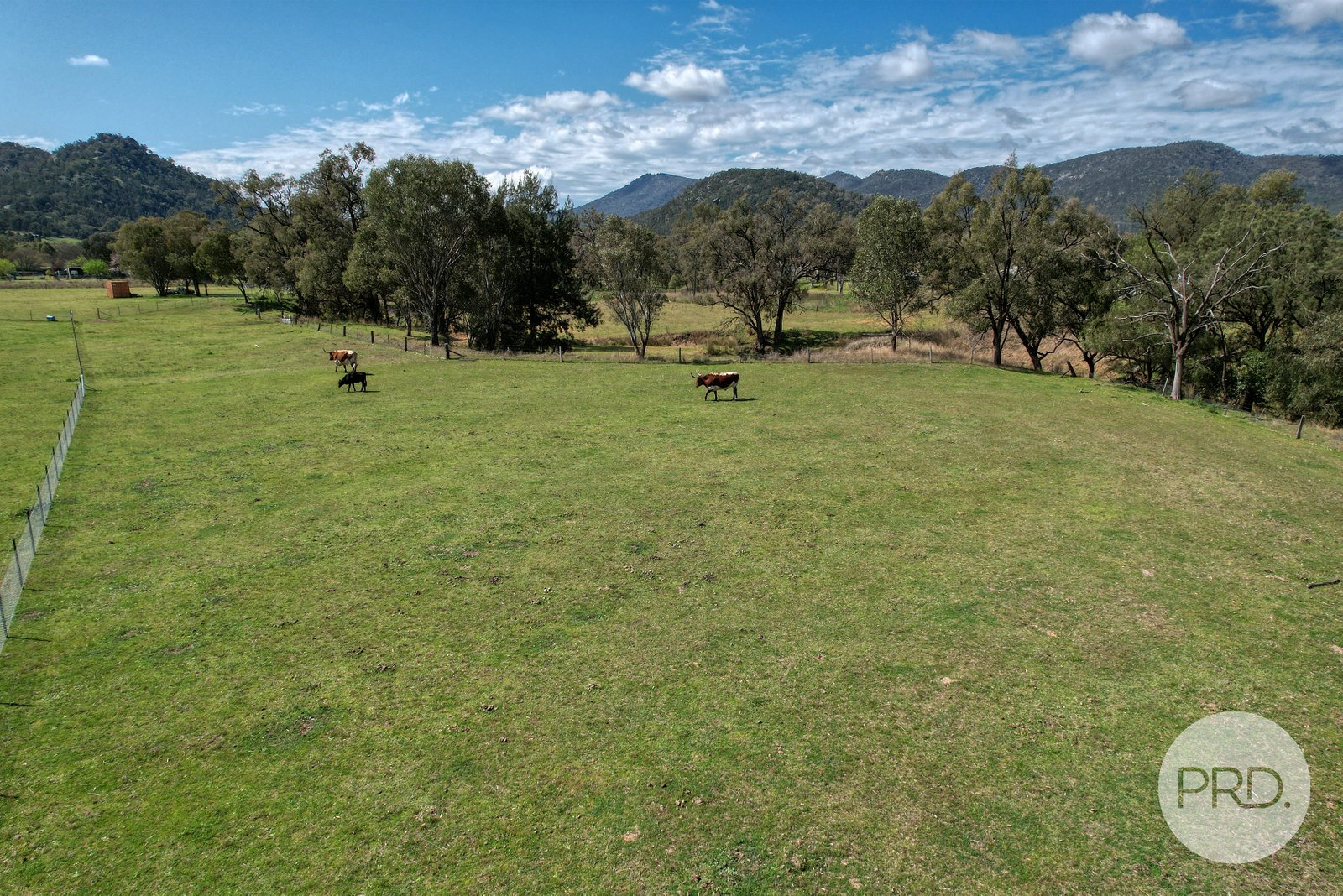 102 New England Gully Road MOONBI 8