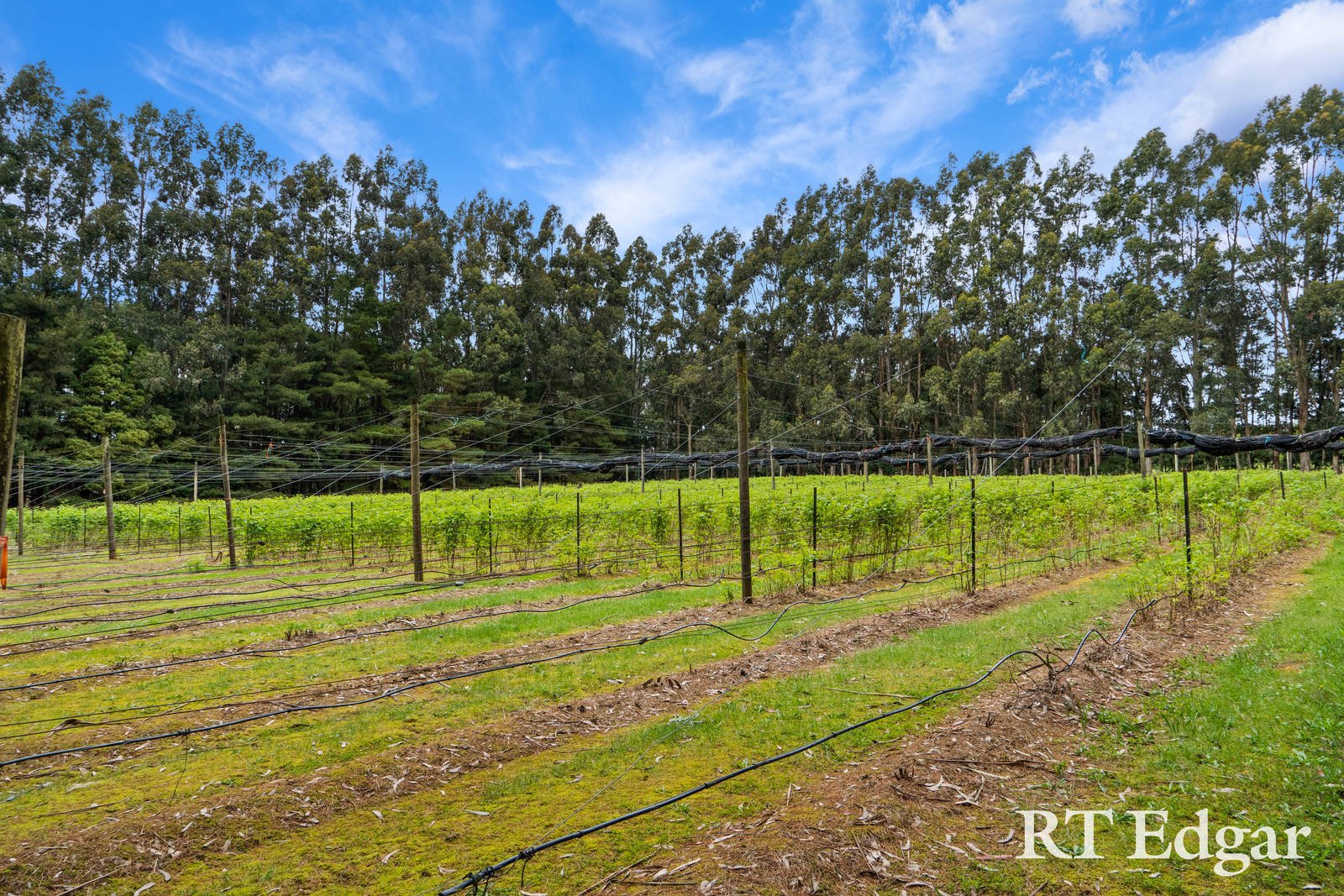 Real Estate and Property in Lot 2, 119 Huttons Lane, Little Hampton, VIC