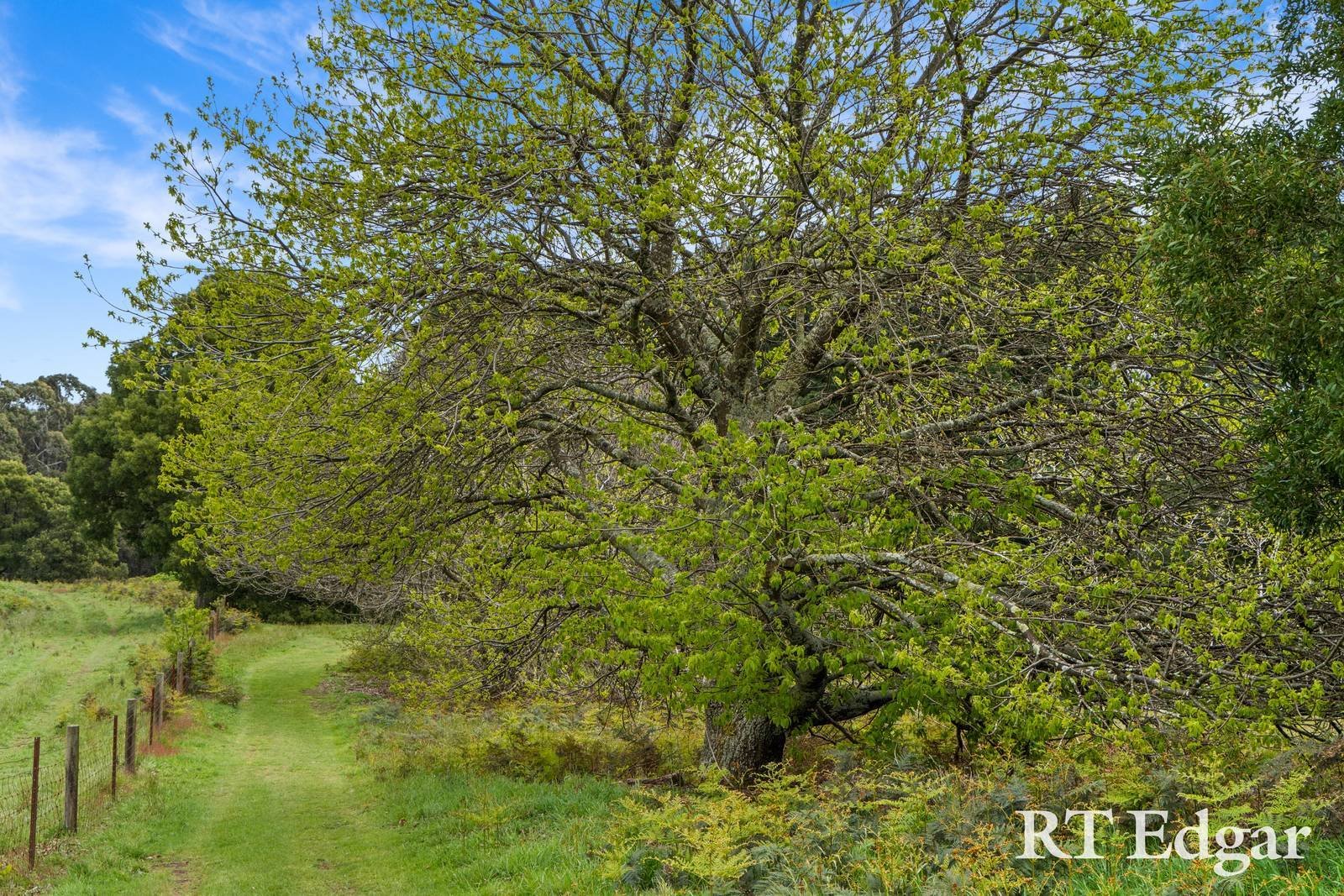 Real Estate and Property in Lot 2, 119 Huttons Lane, Little Hampton, VIC