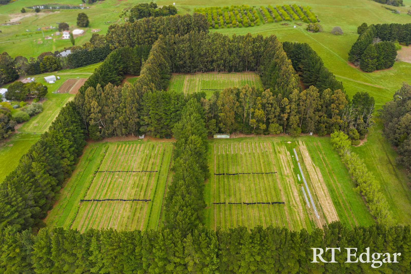 Real Estate and Property in Lot 2, 119 Huttons Lane, Little Hampton, VIC