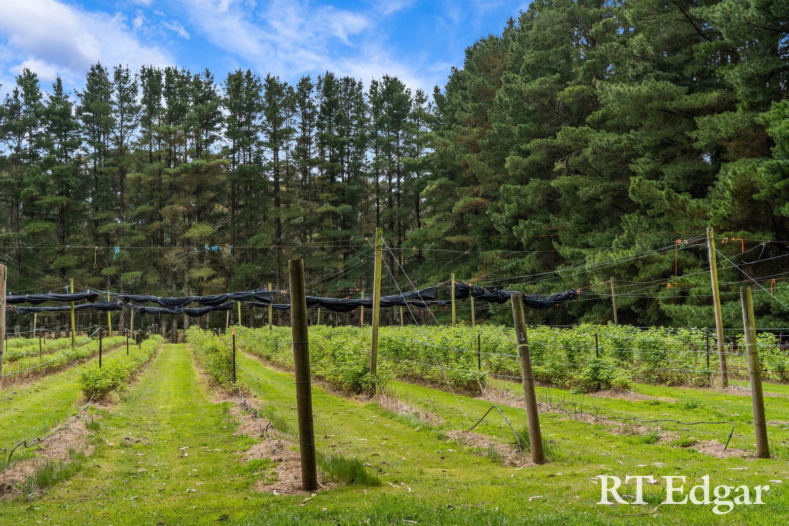 Real Estate and Property in Lot 2, 119 Huttons Lane, Little Hampton, VIC