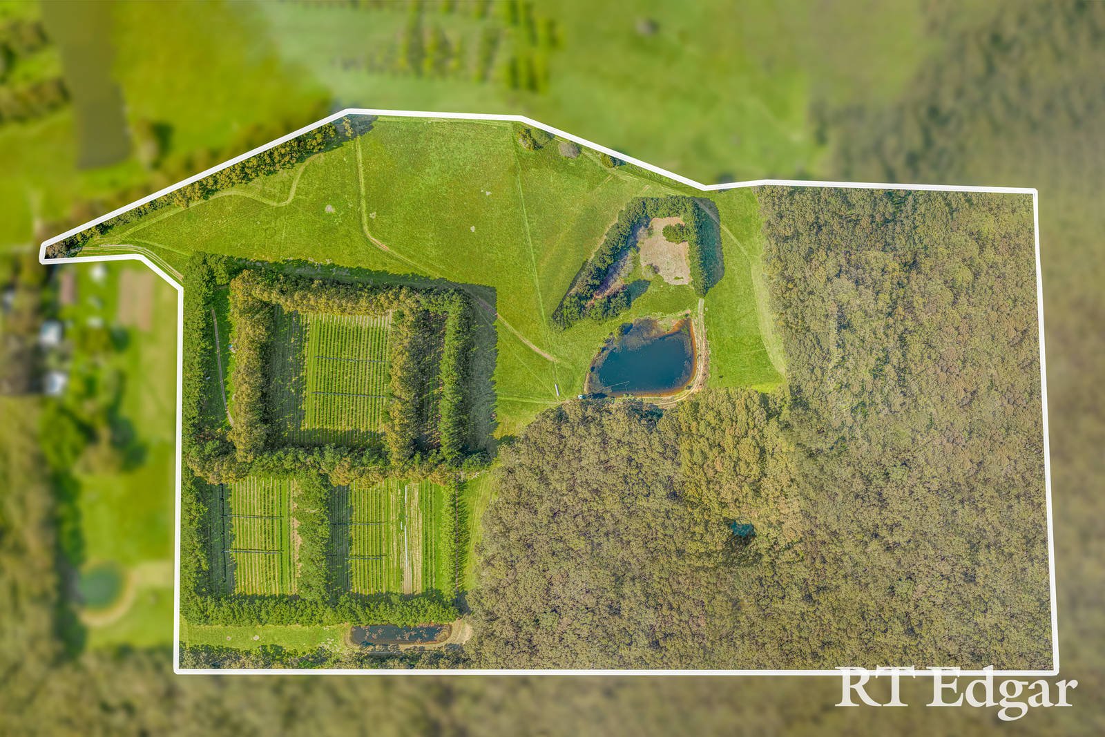 Real Estate and Property in Lot 2, 119 Huttons Lane, Little Hampton, VIC