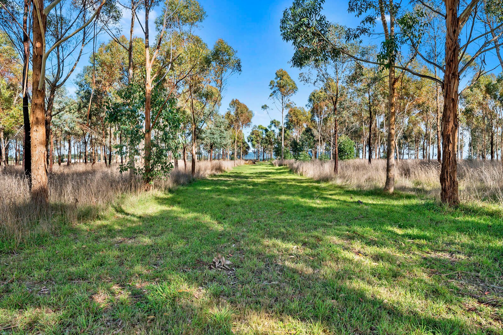 Real Estate and Property in Lot 2, 121 Couzens Lane, Romsey, VIC