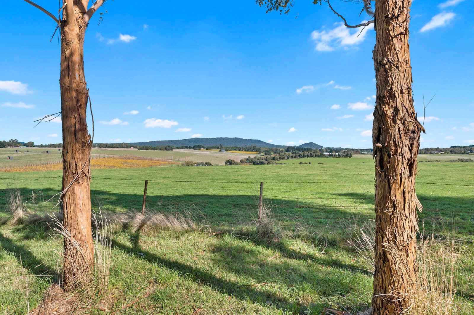 Real Estate and Property in Lot 2, 121 Couzens Lane, Romsey, VIC