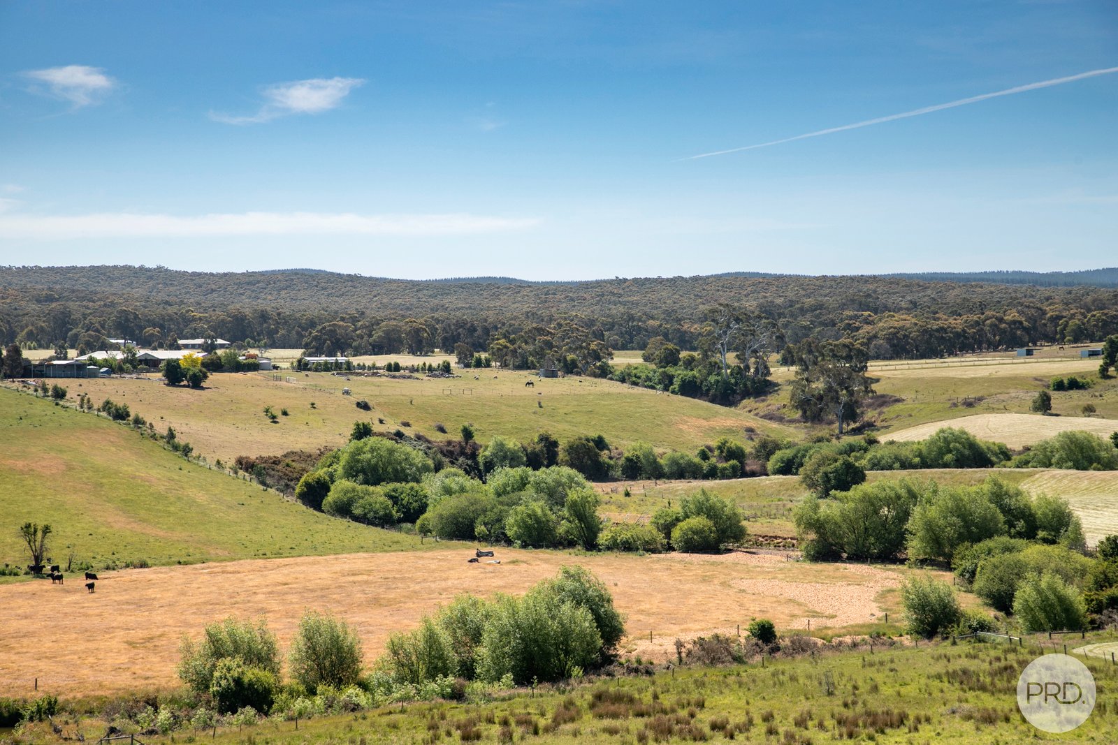 124 Galatea Road NEWTOWN 3