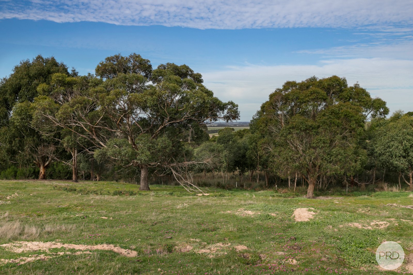 2496 Colac-Ballarat Road CORINDHAP 6