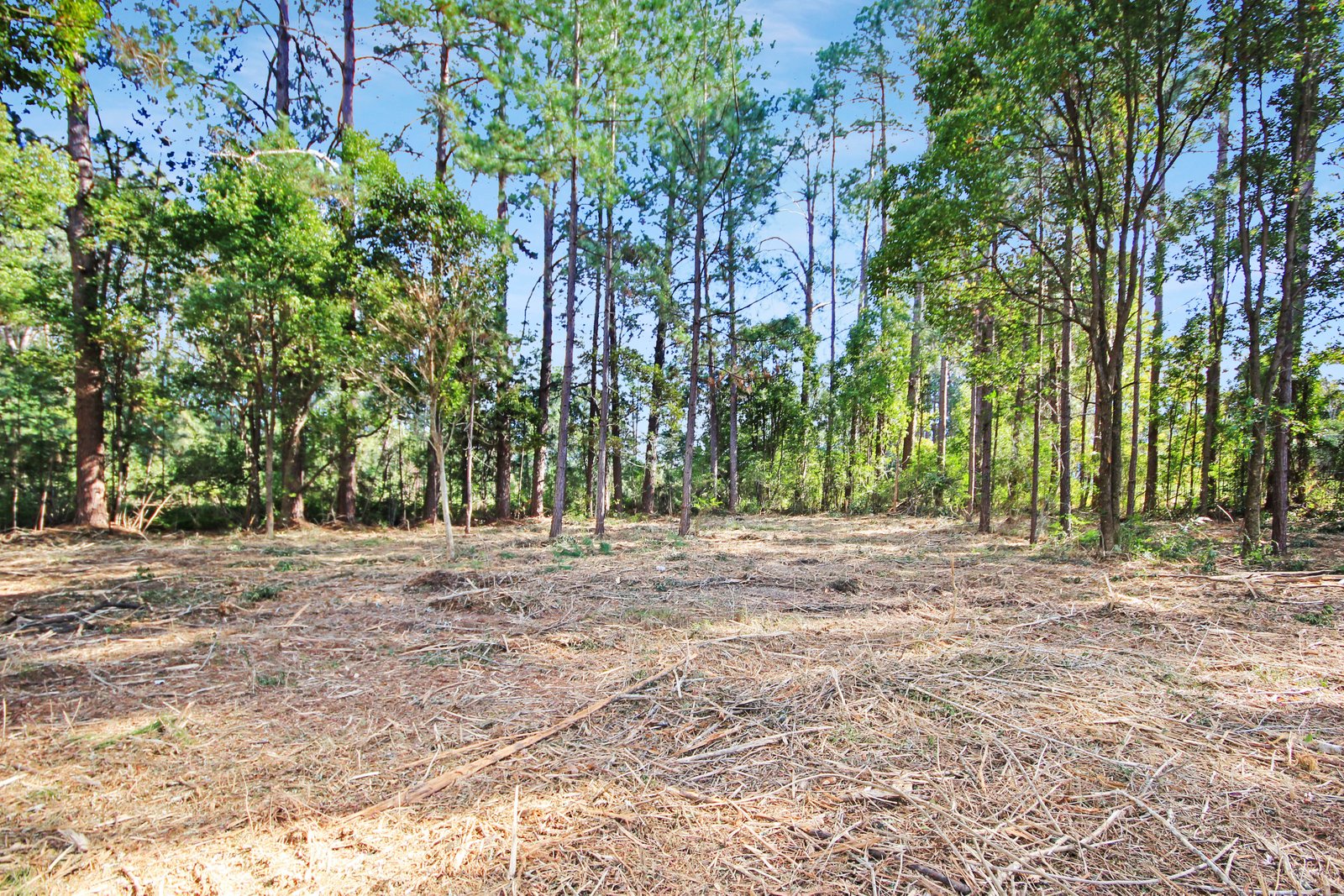 Lot 2 & 3 Ron Banks Road HERONS CREEK 2