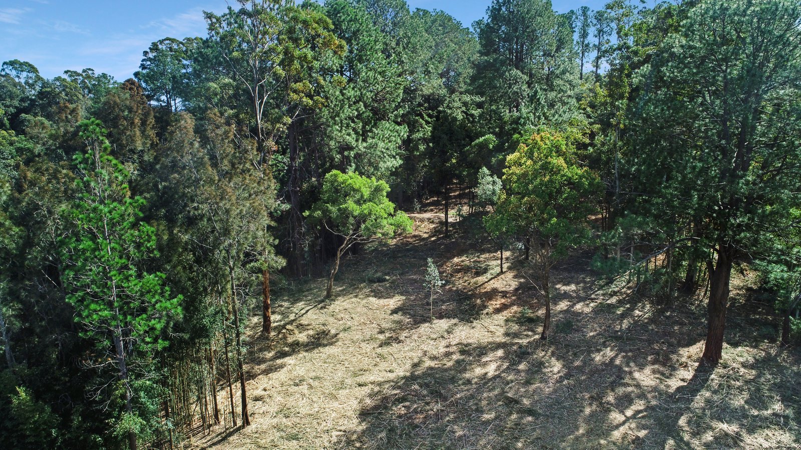 Lot 2 & 3 Ron Banks Road HERONS CREEK 4