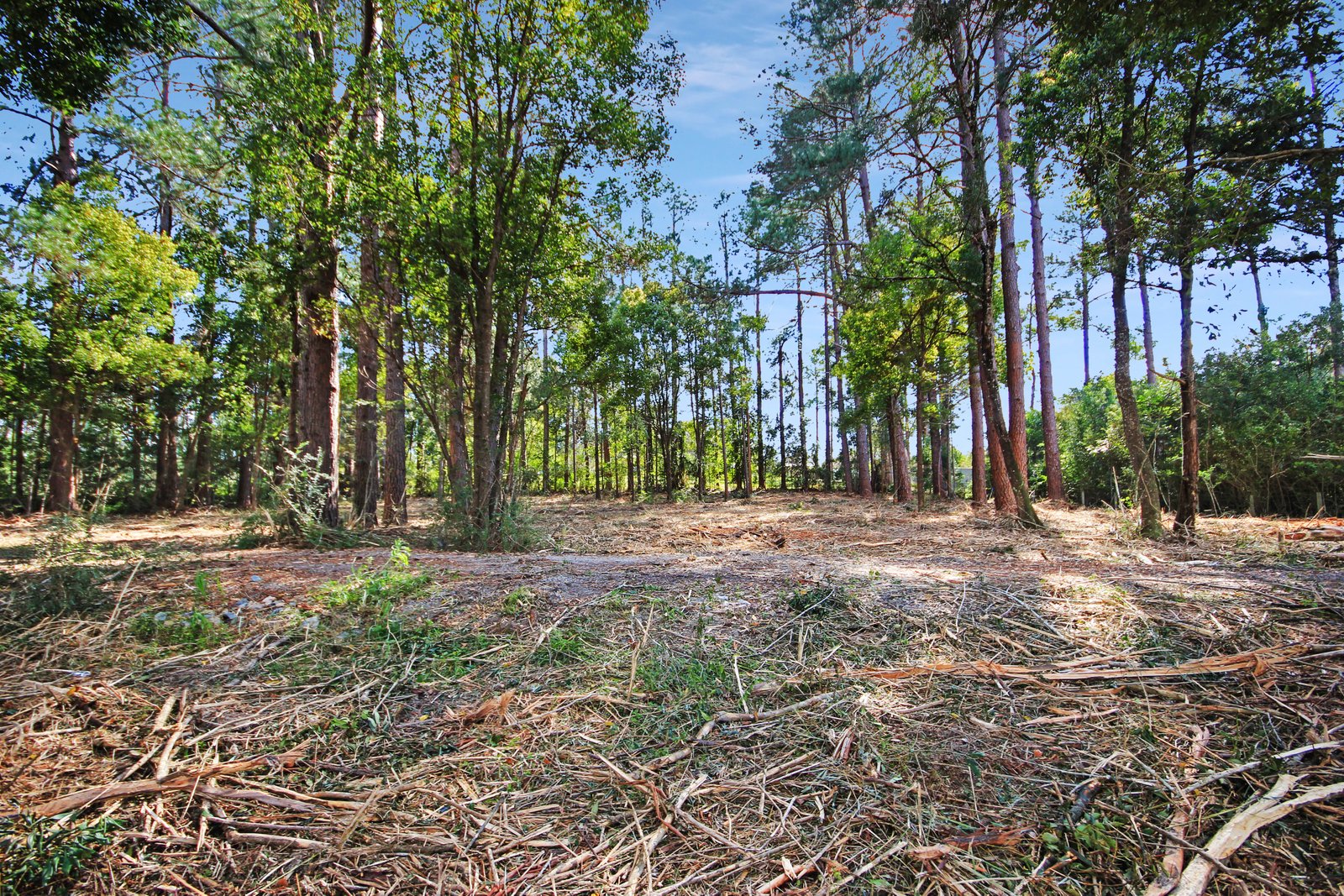 Lot 2 & 3 Ron Banks Road HERONS CREEK 5