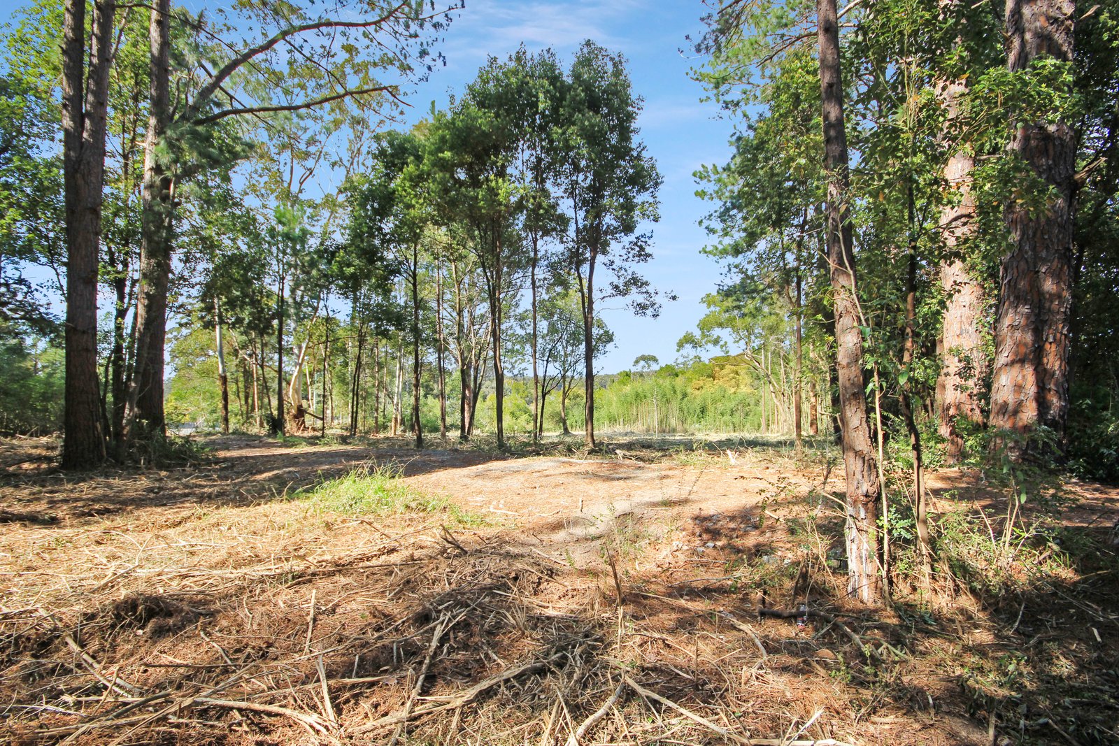 Lot 2 & 3 Ron Banks Road HERONS CREEK 8