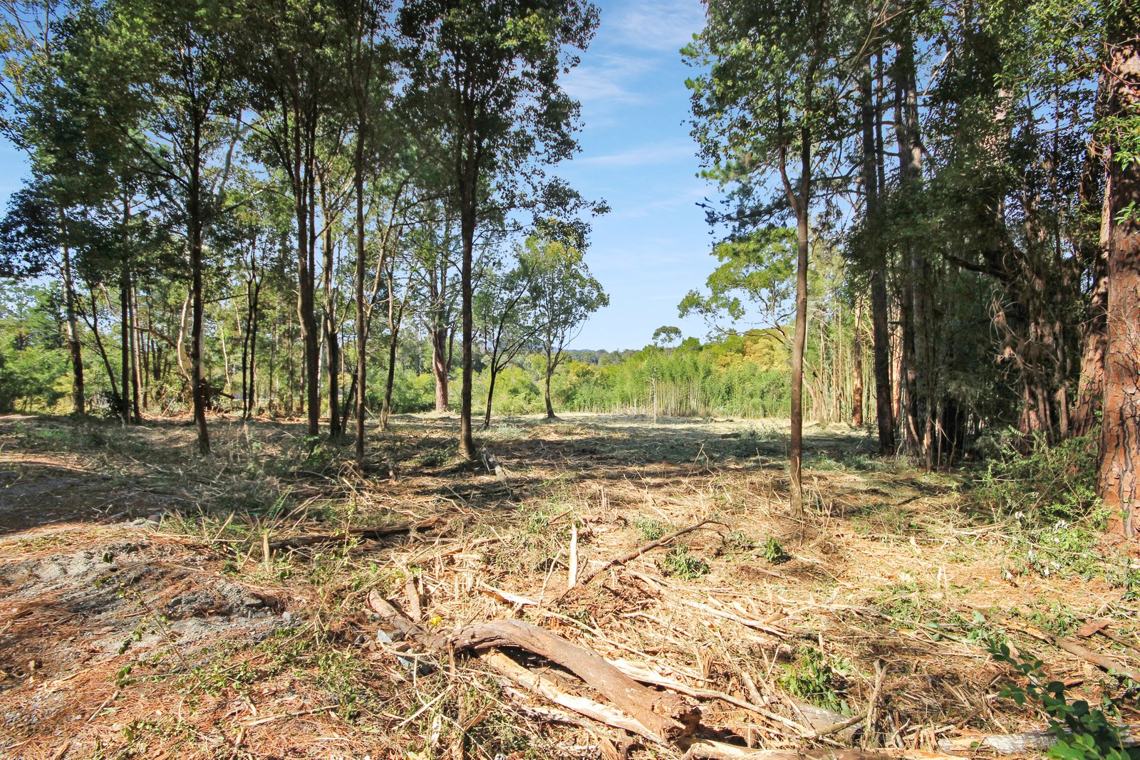 Lot 2 & 3 Ron Banks Road HERONS CREEK 9