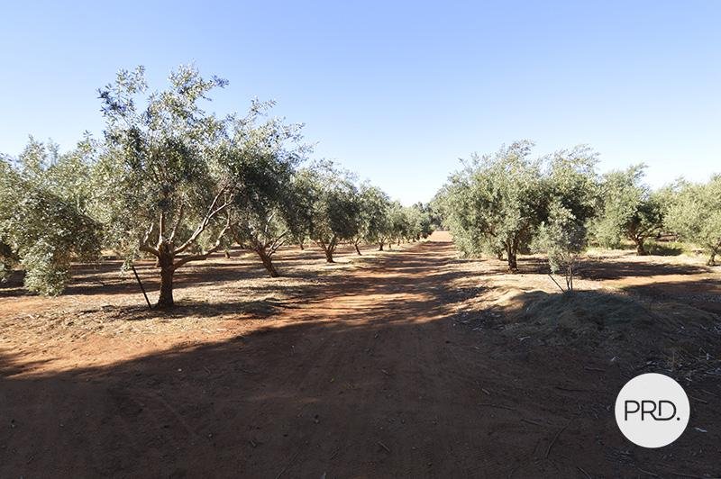 Lot 2, 357 Paschendale Avenue MERBEIN 4