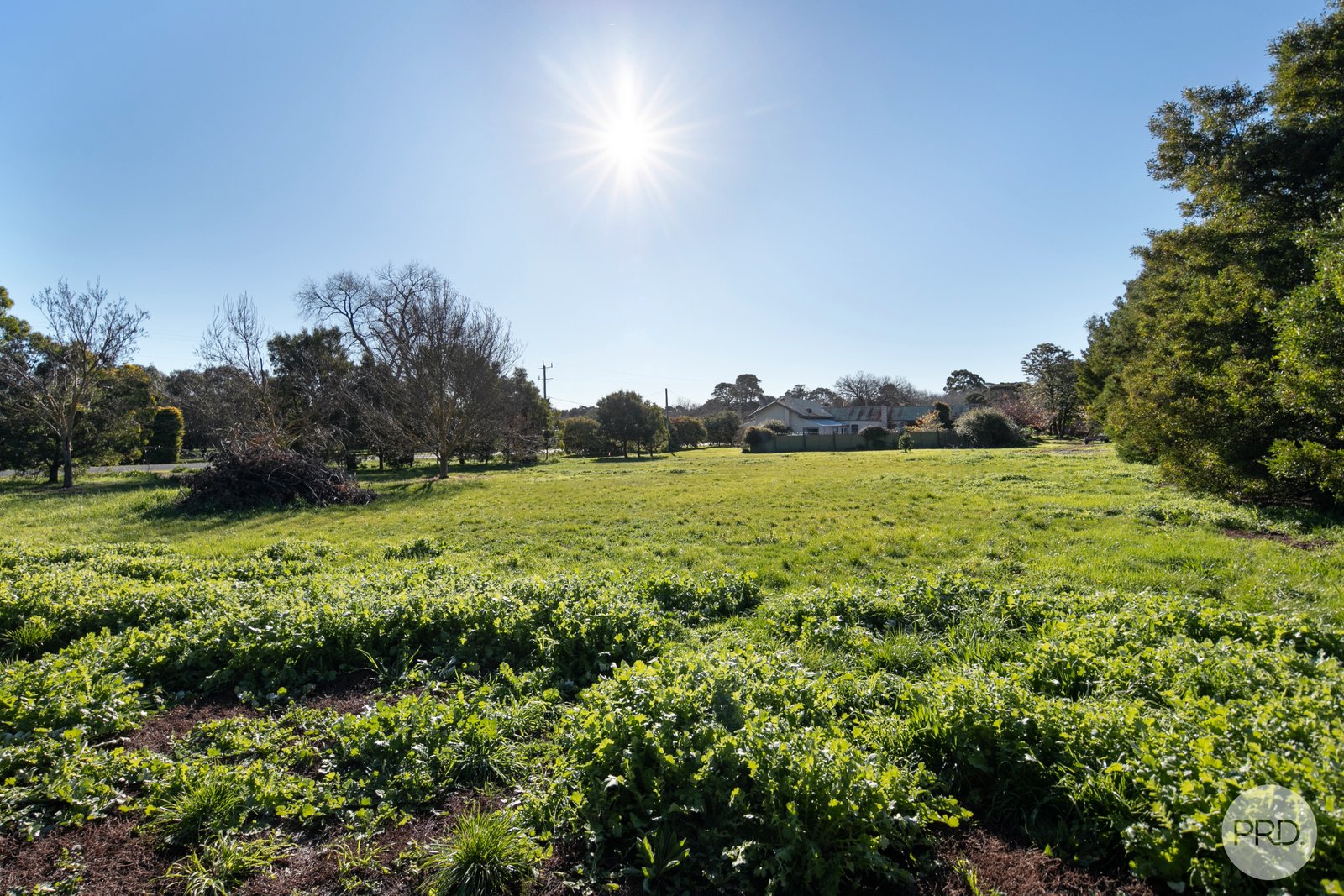 4151 Creswick-Newstead Road ALLENDALE 2