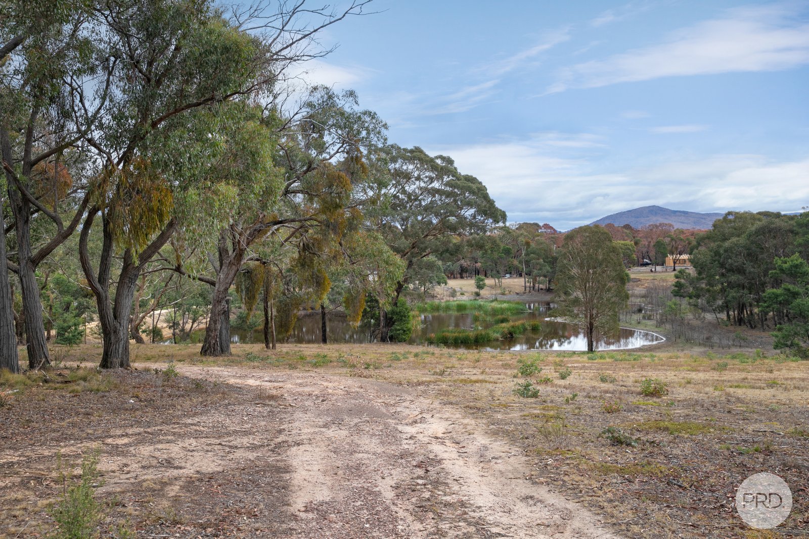 596 Main Lead Road BEAUFORT 10