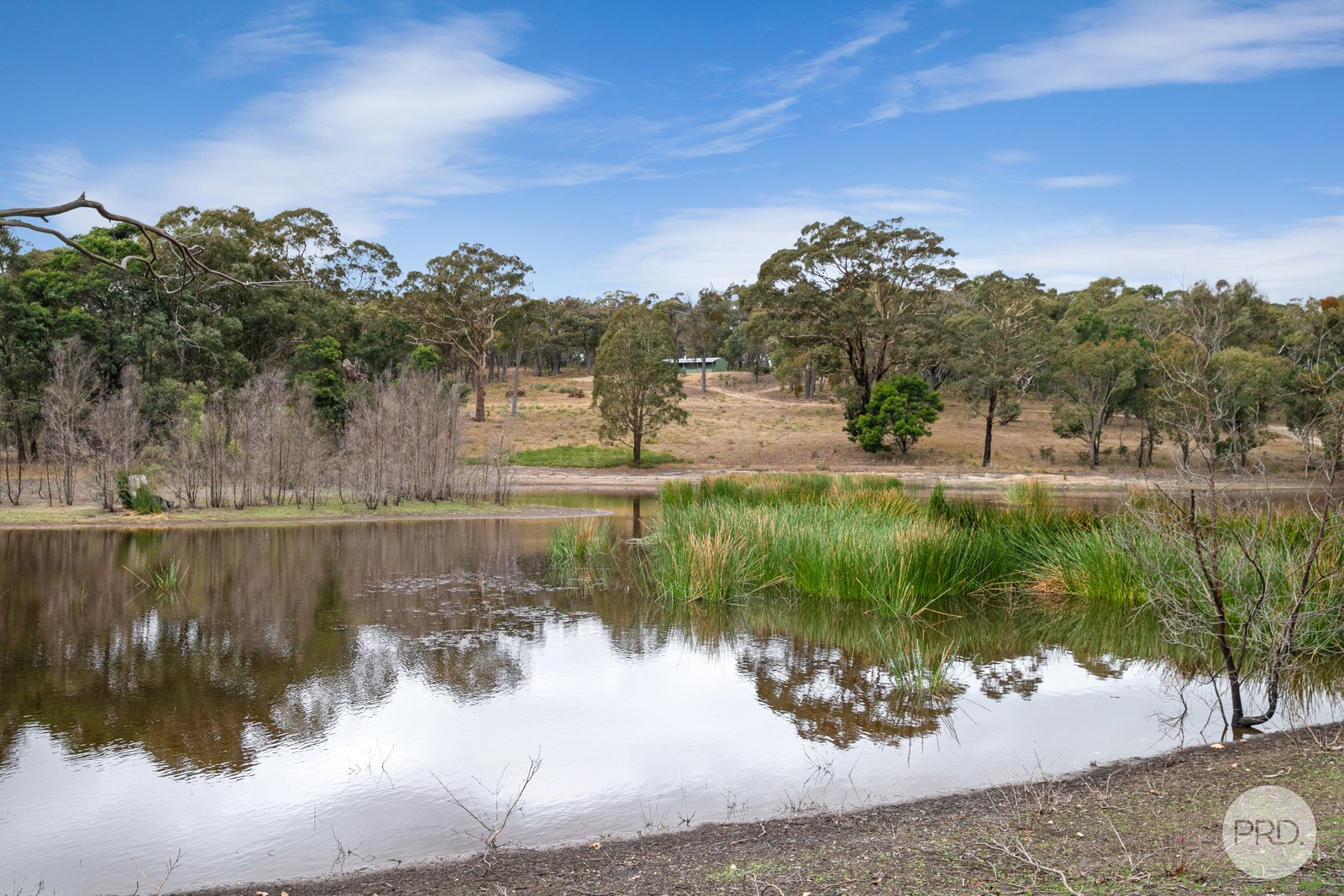 596 Main Lead Road BEAUFORT 12