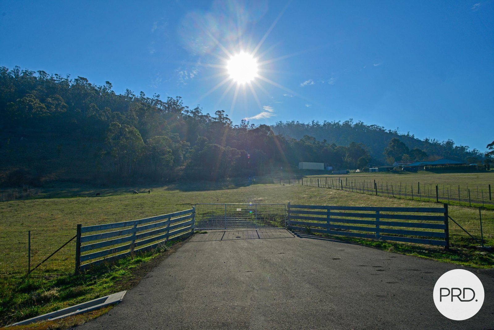 634 Boyer Road DROMEDARY 7