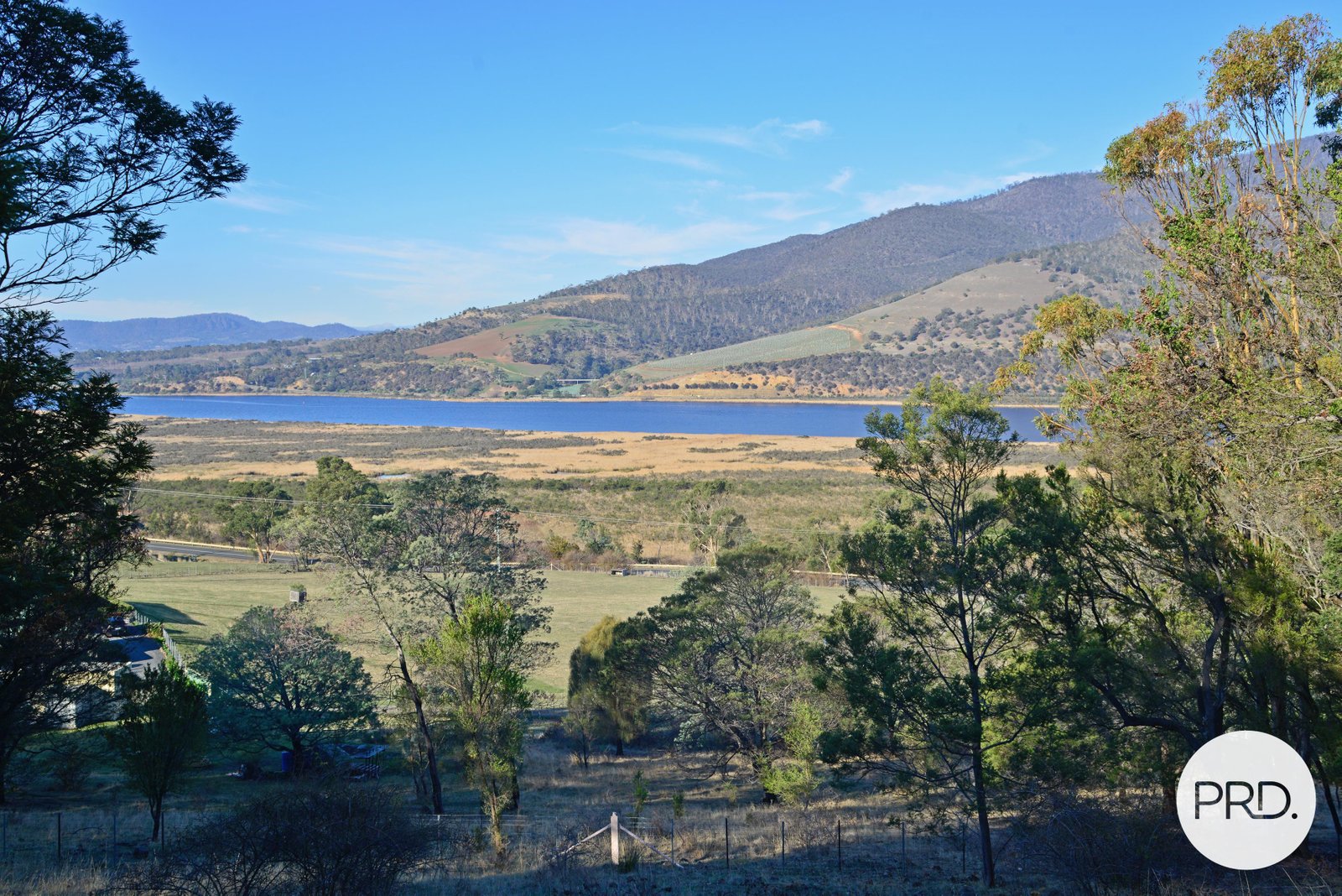 634 Boyer Road DROMEDARY 12