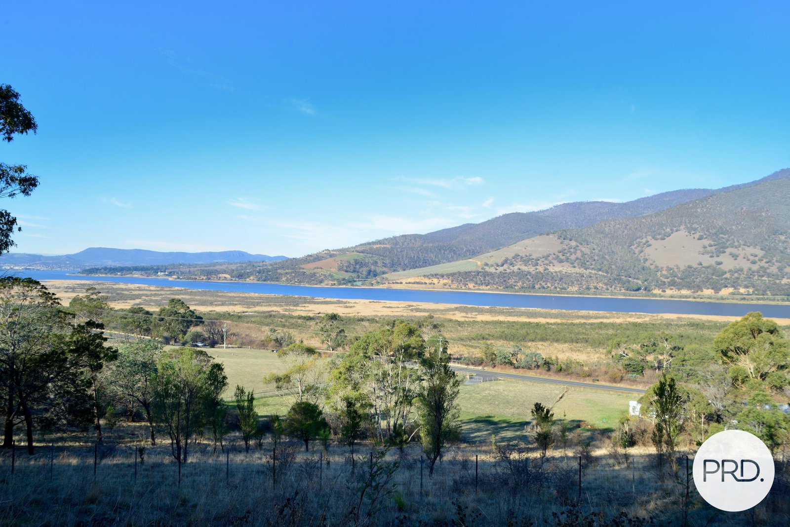 634 Boyer Road DROMEDARY 13