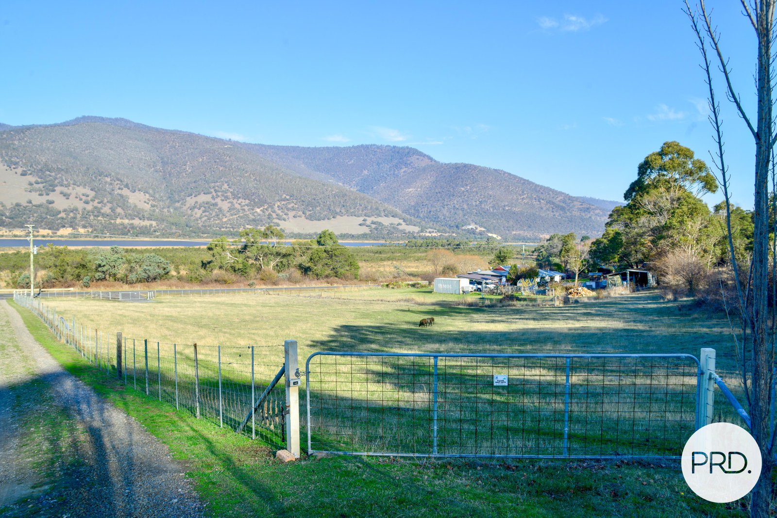 634 Boyer Road DROMEDARY 14