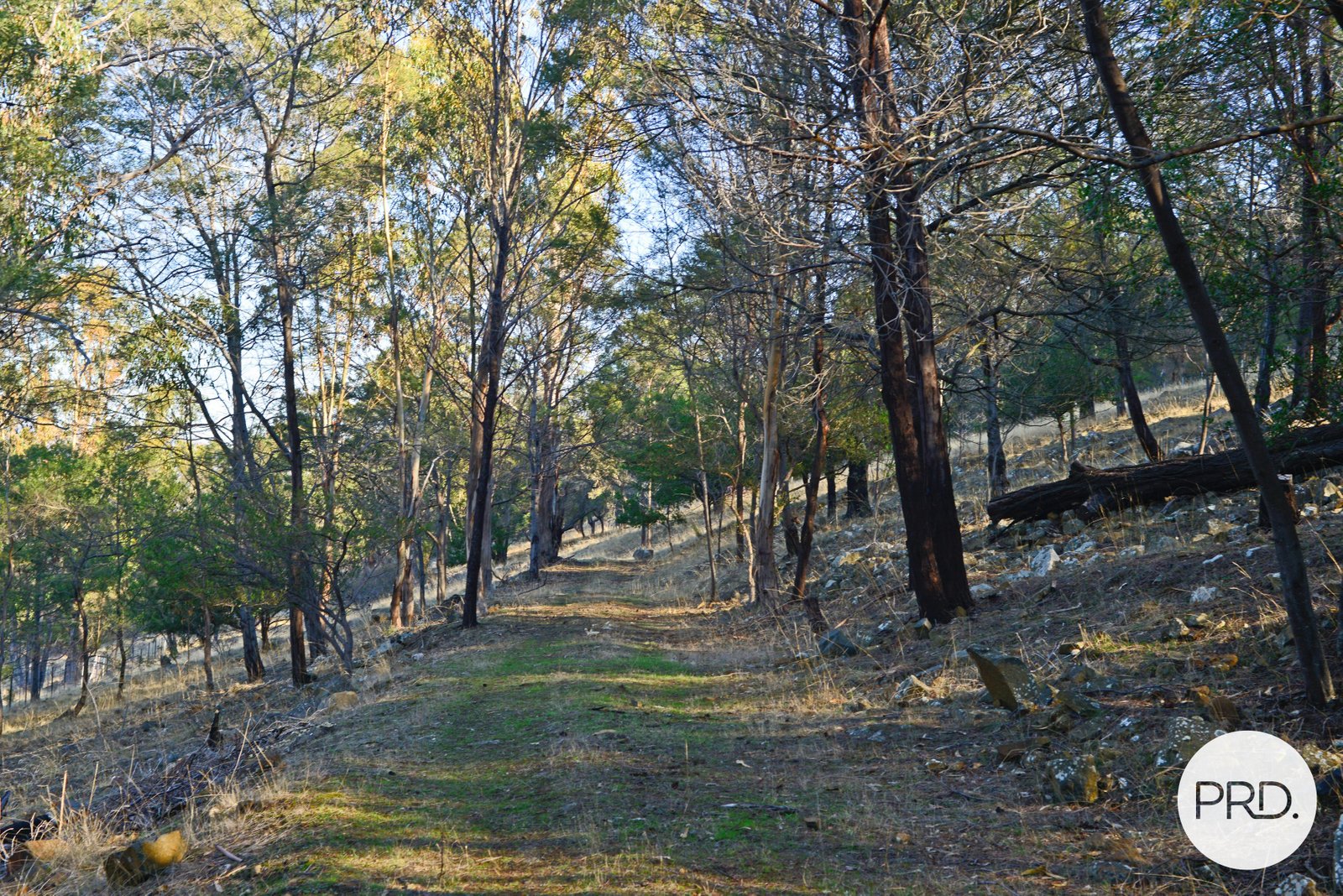 634 Boyer Road DROMEDARY 15