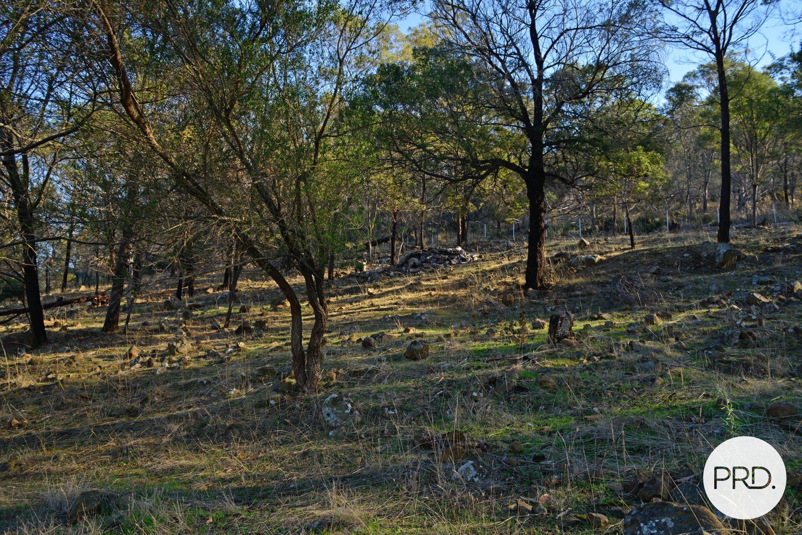 634 Boyer Road DROMEDARY 16