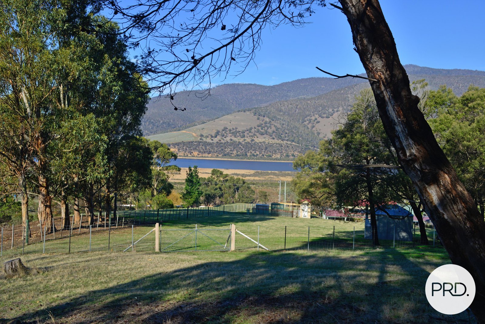 634 Boyer Road DROMEDARY 17